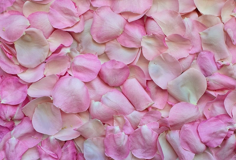 Floral Patterns