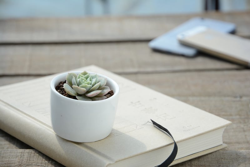 Plant-themed Decor